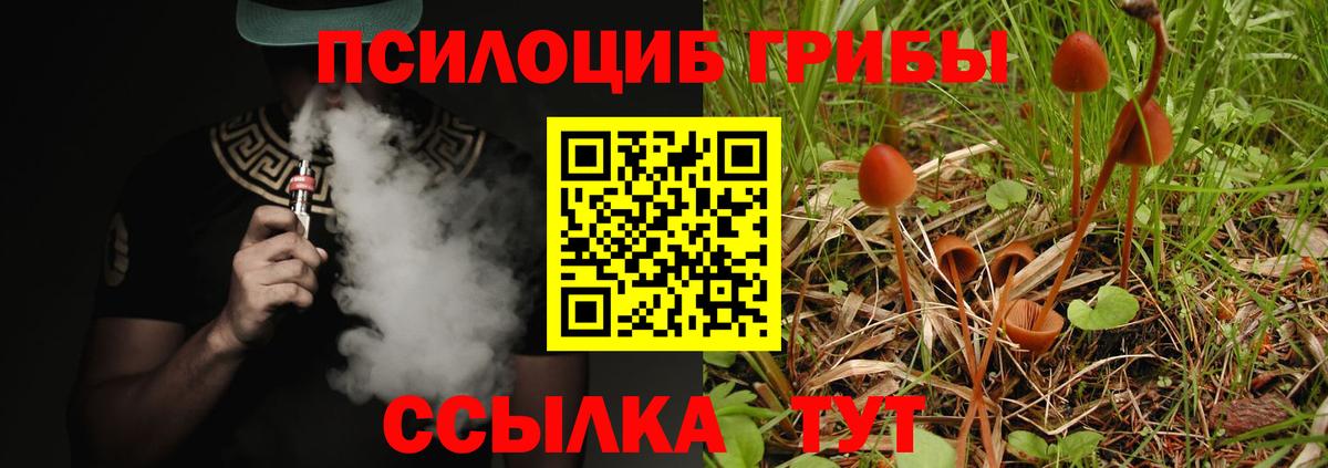 Псилоцибиновые грибы Psilocybe  Галлюциногенные грибы ЛСД  Муром  Вход с VPN 